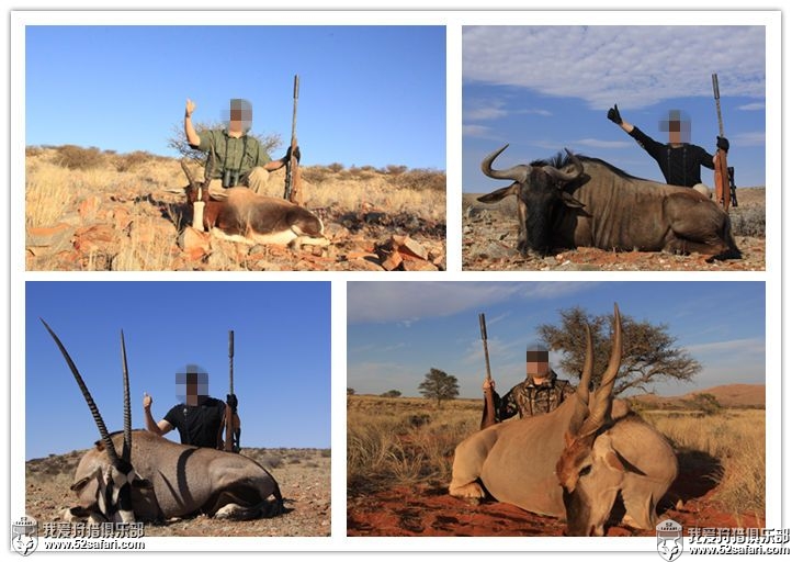 南非定制狩猎团