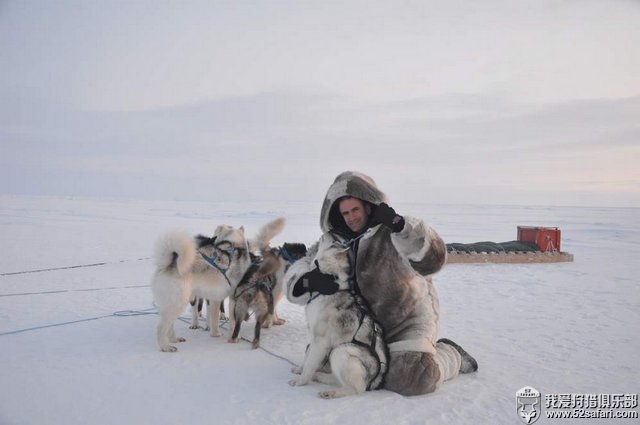 北极猎犬