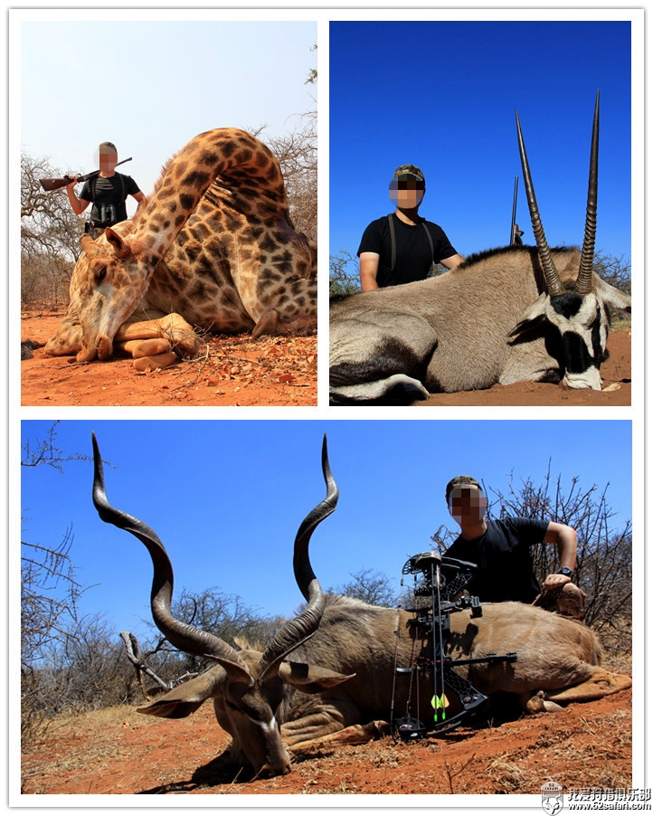 南非复合弓狩猎