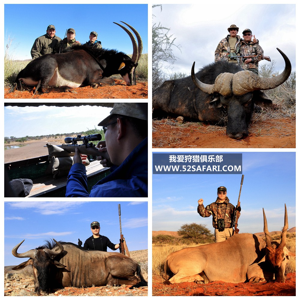 南非狩猎团