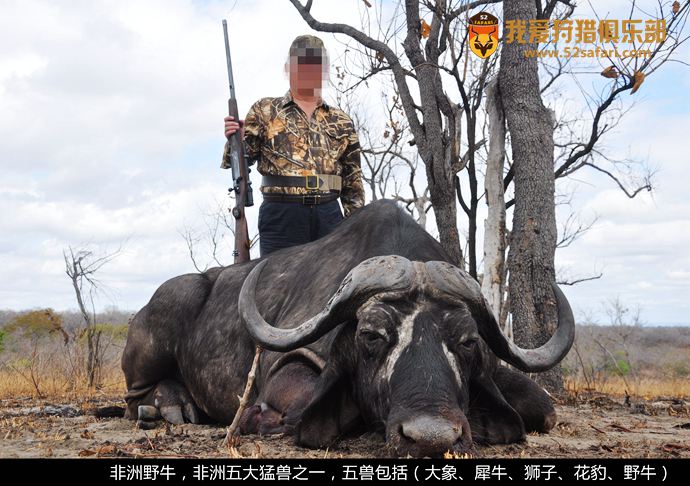 坦桑尼亚狩猎 国际狩猎