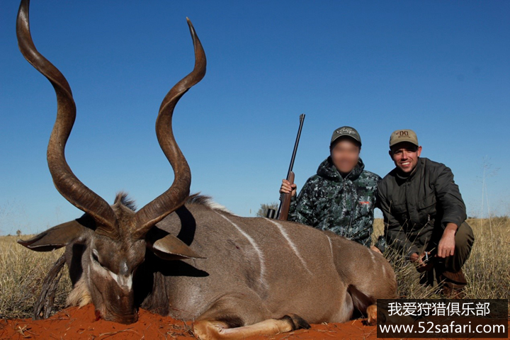 旋角羚狩猎 旋角羚打猎