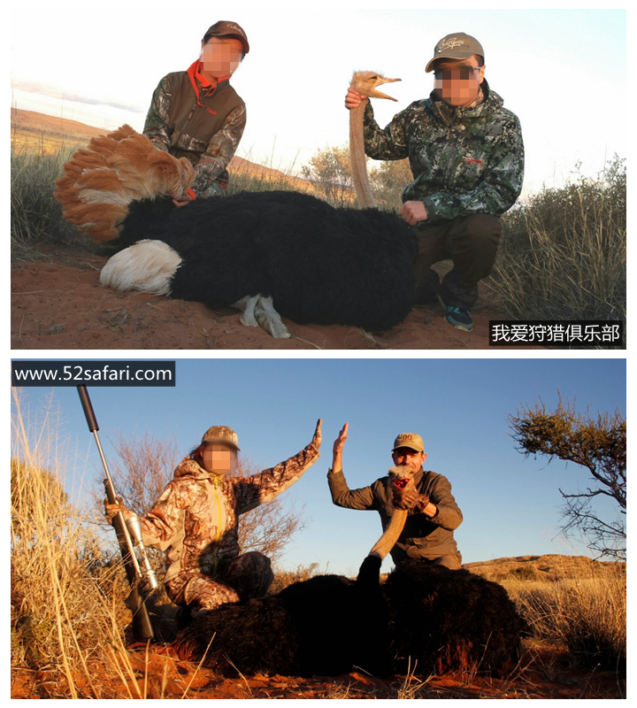 女人打猎 女人狩猎