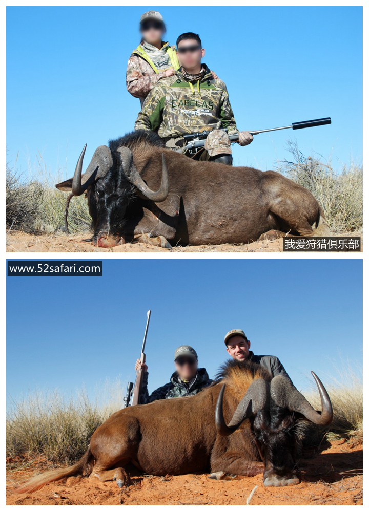 非洲打猎