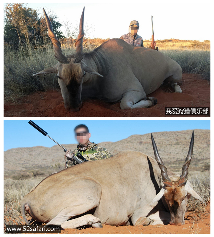 南非打猎
