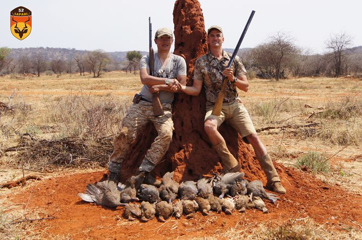 非洲野鸡狩猎 纳米比亚飞禽狩猎 珍珠鸡狩猎