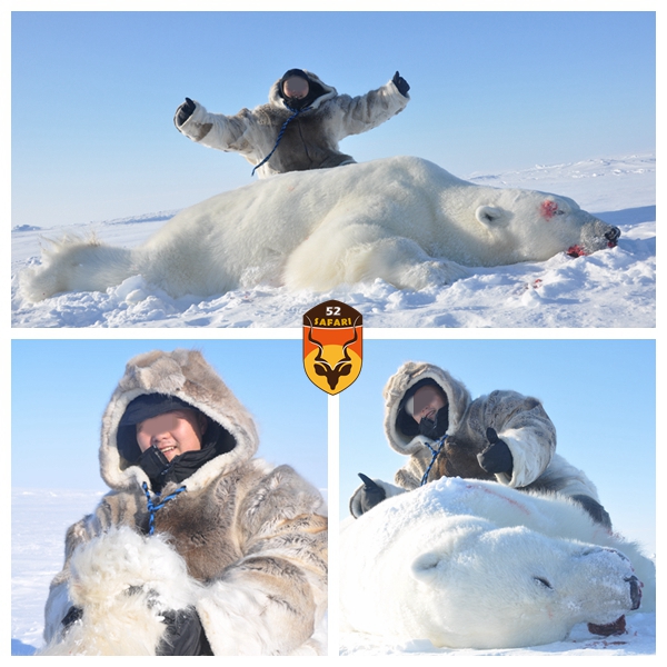 中国人北极熊狩猎