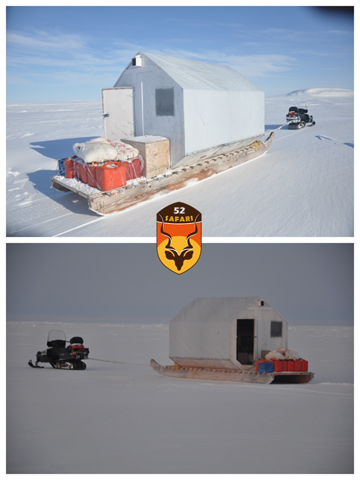 北极熊狩猎营地