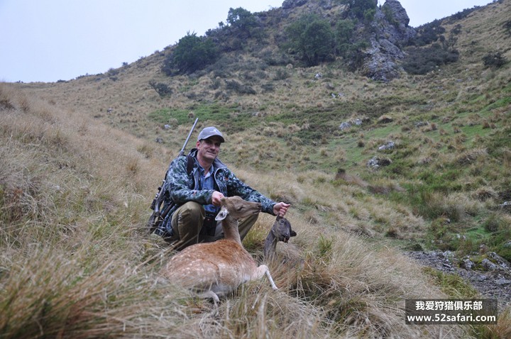 新西兰黇鹿狩猎