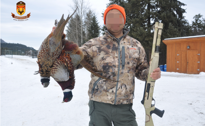 加拿大野鸡狩猎