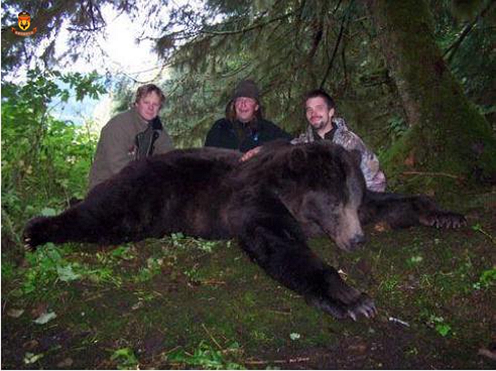 阿拉斯加棕熊狩猎团