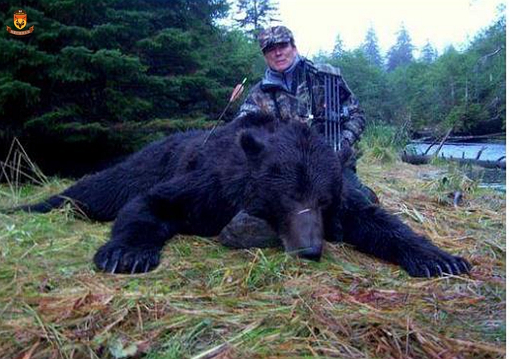 阿拉斯加黑熊狩猎