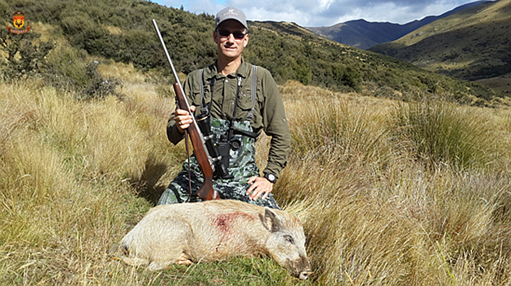 新西兰野猪狩猎
