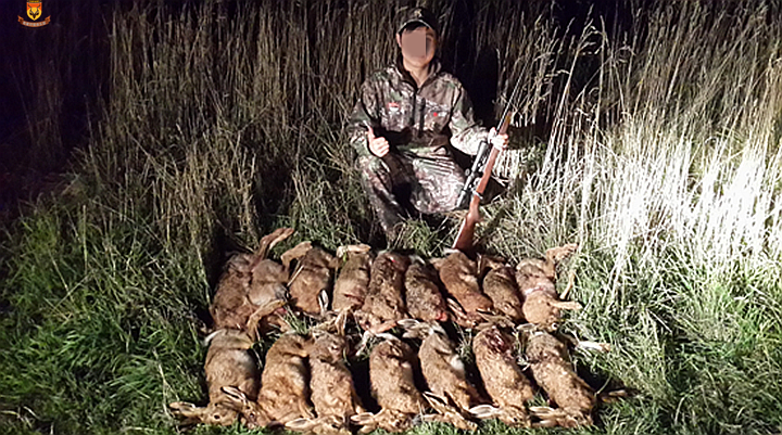 新西兰兔子狩猎