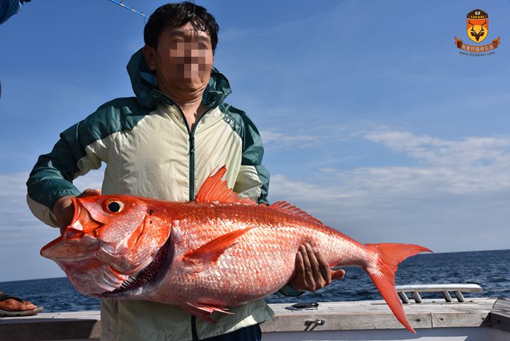 巴厘岛红宝石