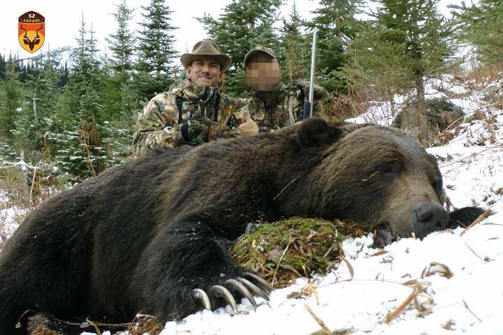 阿拉斯加棕熊狩猎