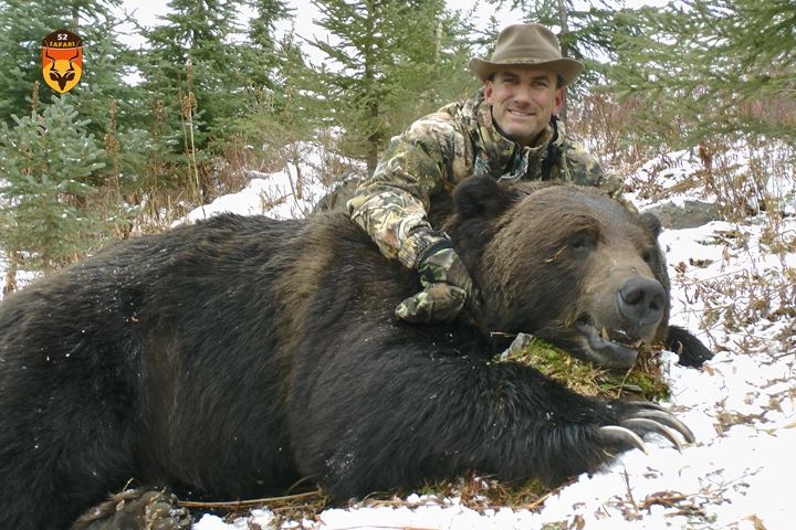 阿拉斯加灰熊狩猎