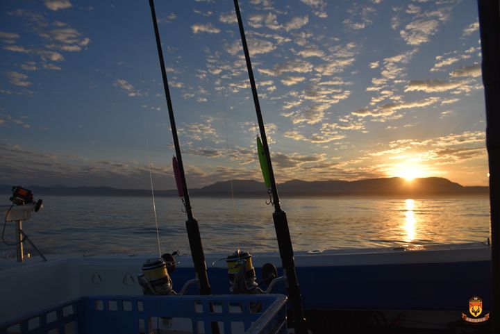 南非钓鱼