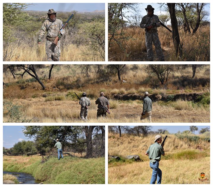纳米比亚狩猎团