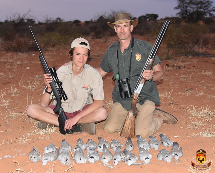 斑鸠狩猎 纳米比亚飞禽狩猎 非洲鸟狩猎