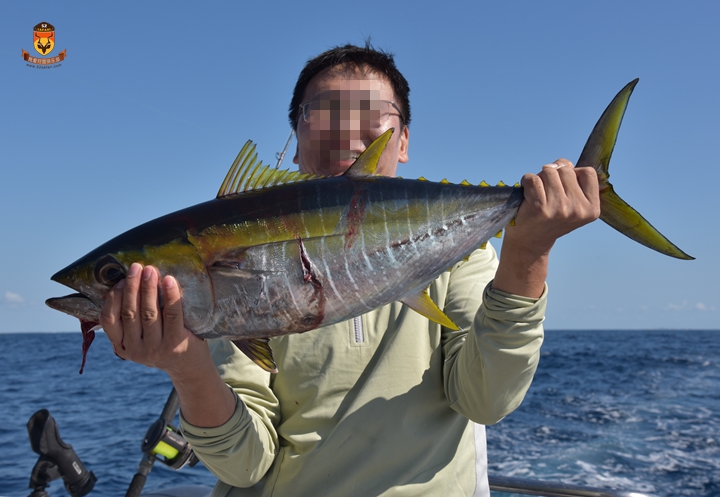 金枪鱼海钓