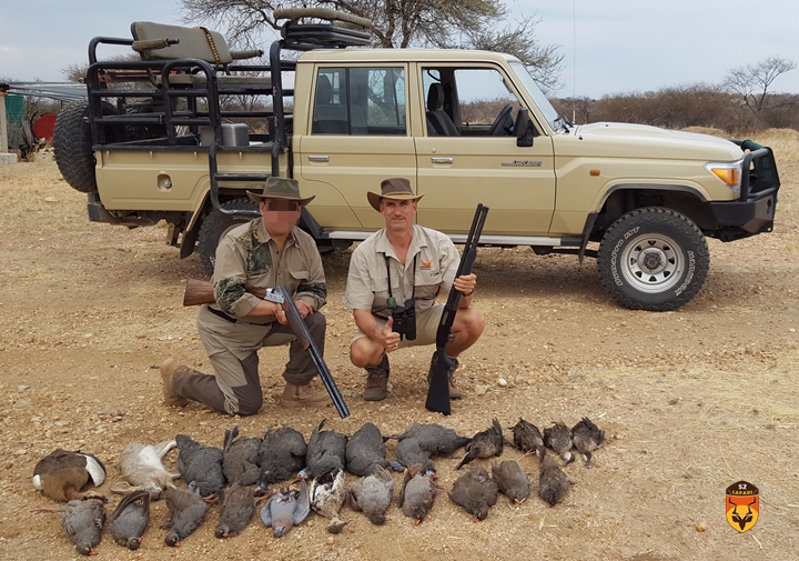 珍珠鸡狩猎 非洲飞禽狩猎