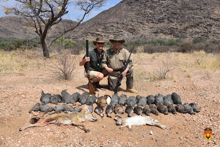 纳米比亚狩猎 非洲鸟狩猎 野鸡狩猎