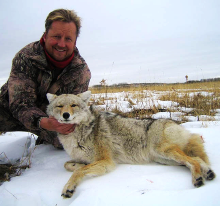 加拿大郊狼狩猎
