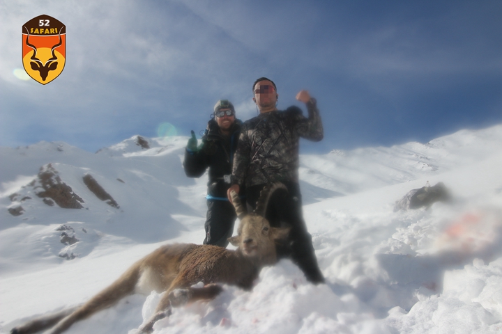 吉尔吉斯斯坦北山羊狩猎