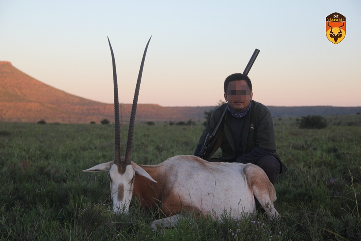 弯角剑羚狩猎 南非豪华狩猎团