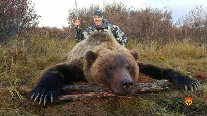 灰熊狩猎