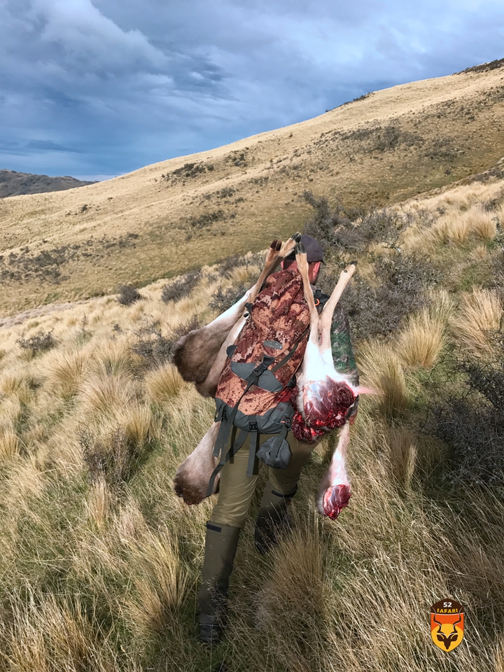 新西兰鹿肉