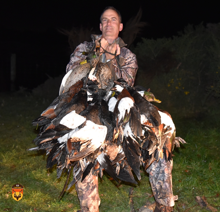 新西兰鸭子狩猎 国际狩猎