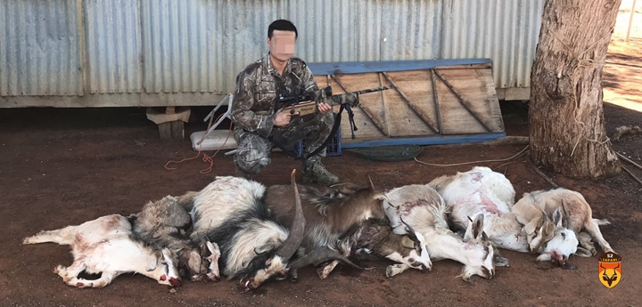 澳大利亚狩猎 澳大利亚打猎