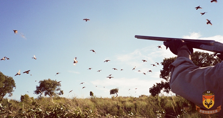 西班牙飞禽狩猎