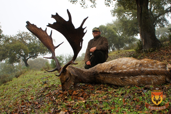 西班牙黇鹿狩猎