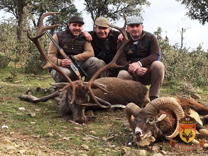 西班牙赤鹿狩猎