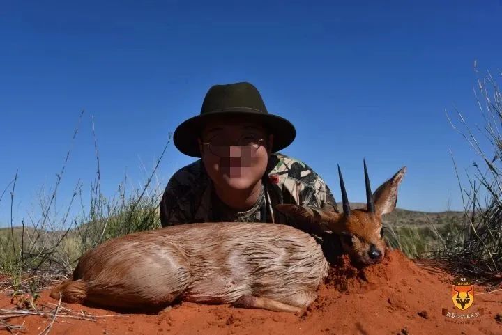 南非打猎