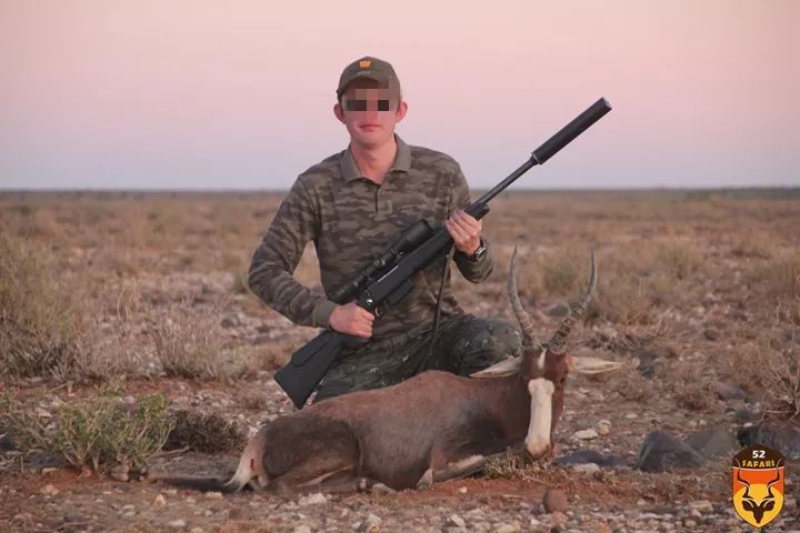 南非白脸牛羚狩猎