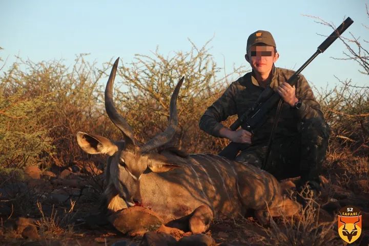 非洲旋角羚狩猎