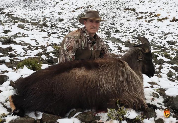 新西兰塔尔羊狩猎团 直升飞机狩猎 New Zealand tahr hunt