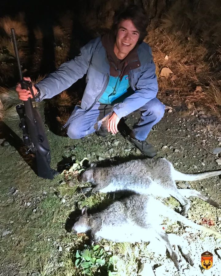 新西兰袋鼠狩猎团