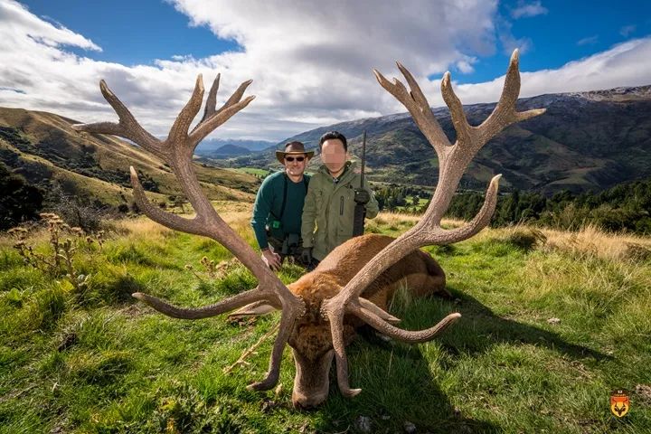 新西兰狩猎团 国际狩猎团