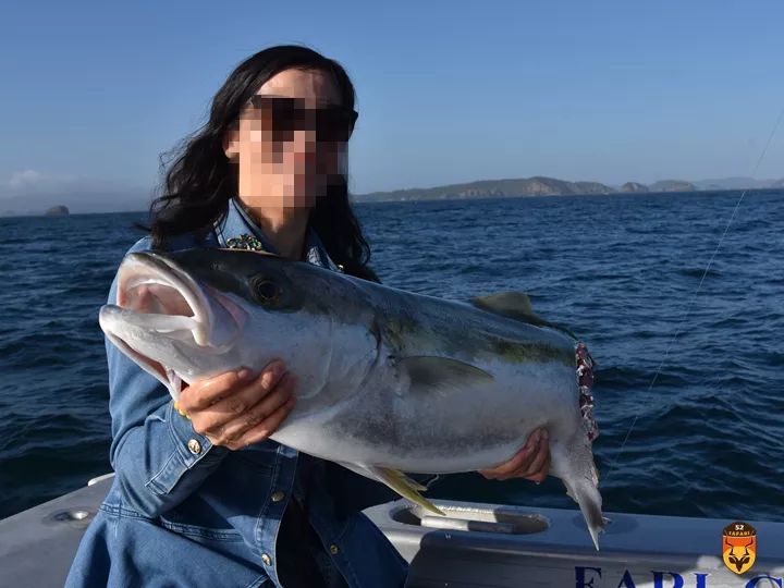 新西兰钓鱼