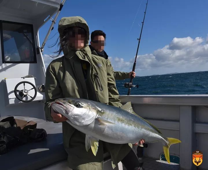 巨大黄鰤鱼