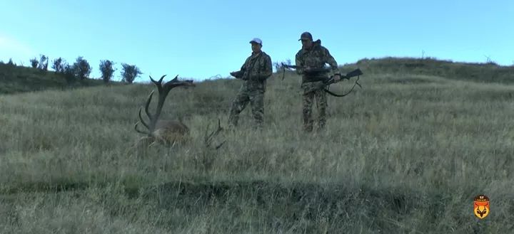 麋鹿狩猎团 四不像狩猎
