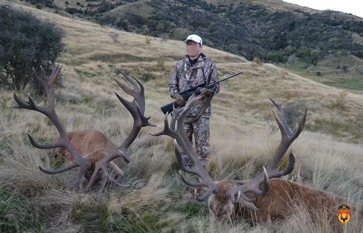 新西兰赤鹿狩猎团 新西兰马鹿狩猎团