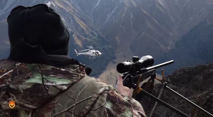 新西兰直升飞机狩猎