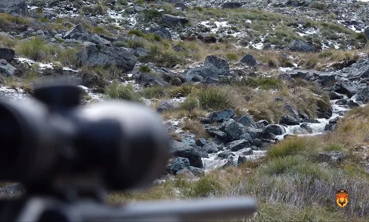 新西兰山区狩猎