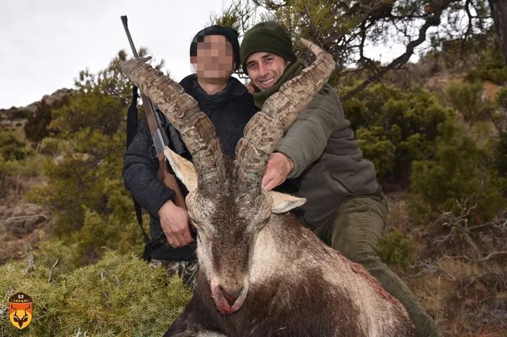 西班牙北山羊狩猎 国际狩猎